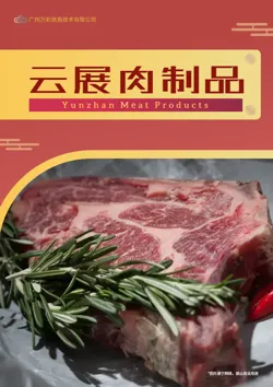 食品熟食肉制品产品画册