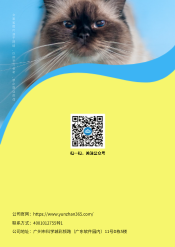 宠物用品猫咪用具产品画册模板 - 封底预览