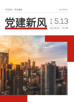 基层党建学习政策解读宣传期刊模板