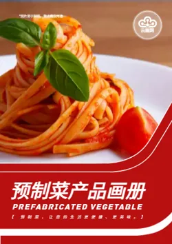 预制菜简餐料理包产品画册制作 - 封面预览