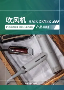 恒温吹风筒电吹风产品画册