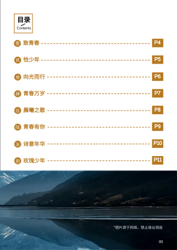 经典诗歌青春诗集作品集模板 - 第3页