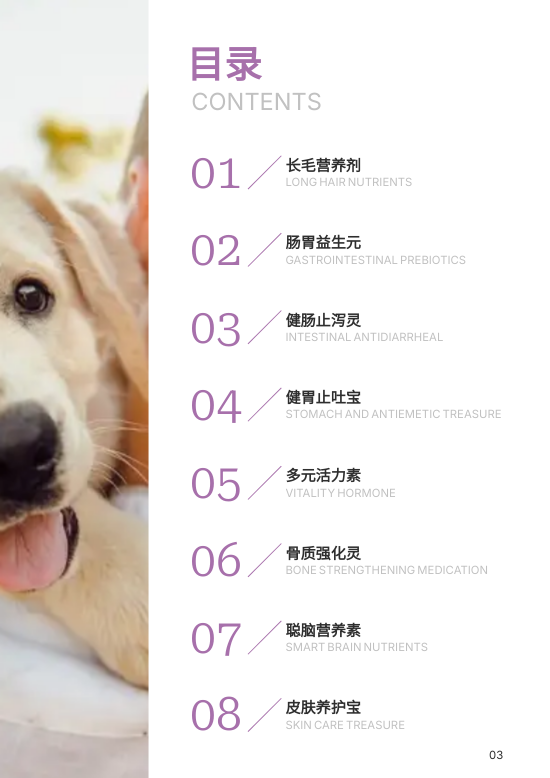 宠物保健品肠胃调理产品画册模板 - 第3页