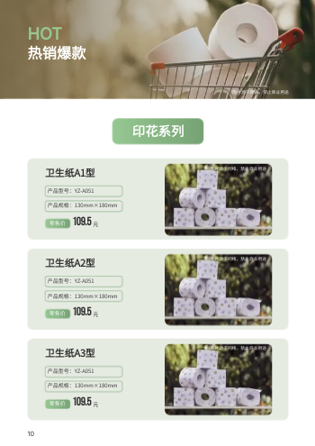 卫生纸清洁纸巾价目表手册模板 - 第10页