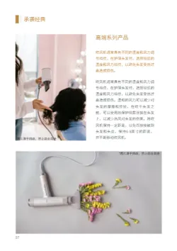 家用吹风机静音风筒产品画册制作 - 第8页