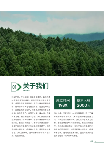 森林管理林业规划企业画册设计 - 第3页