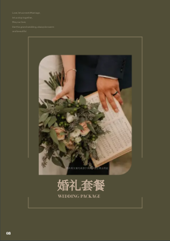 新人蜜月婚纱照婚礼照片作品集制作 - 第8页