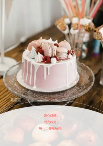 营养面包烘焙蛋糕产品画册模板 - 第3页
