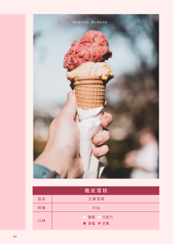 冷冻品雪糕甜品产品画册模板 - 第4页