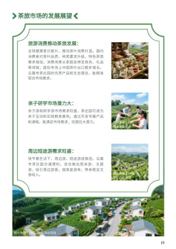 茶园茶庄项目招商宣传册模板 - 第19页