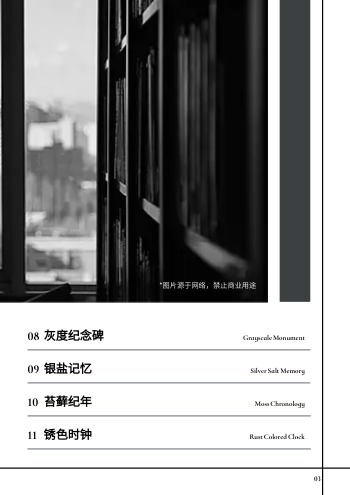 极简黑白主题人物写真相册模板 - 第3页