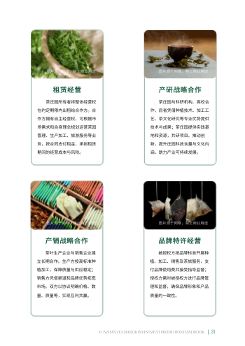 品牌茶庄茶叶店招商手册模板 - 第21页