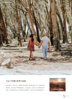 情侣爱情纪念婚礼相册模板 - 第5页