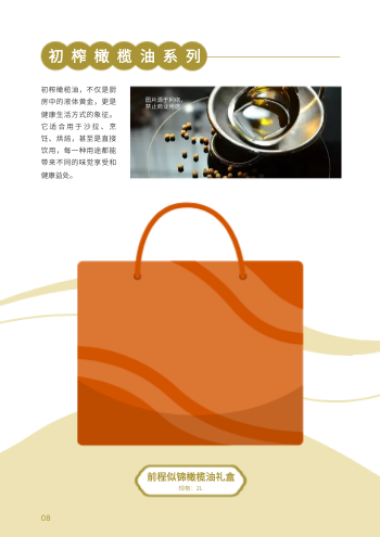 谷类粮油油料粮油产品画册模板 - 第8页
