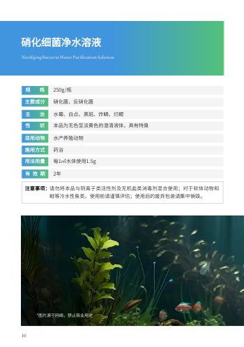 水产养殖消毒液产品画册设计 - 第10页