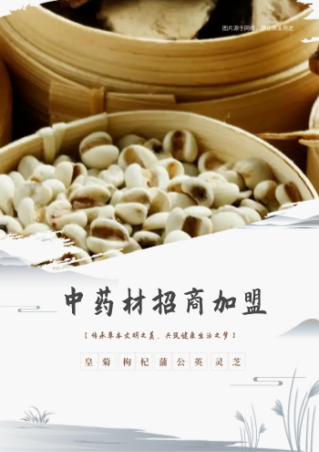 中草药店药材招商加盟画册