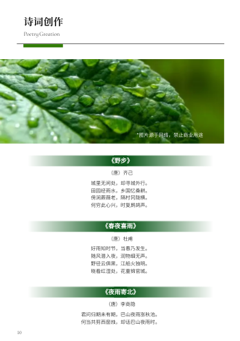 雨水节气节令知识介绍画册制作 - 第10页