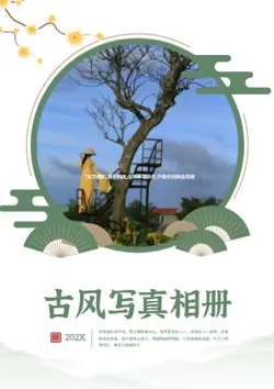 国风古典美女艺术写真相册