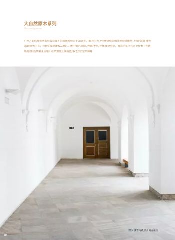 现代简约家装木地板产品画册模板 - 第12页